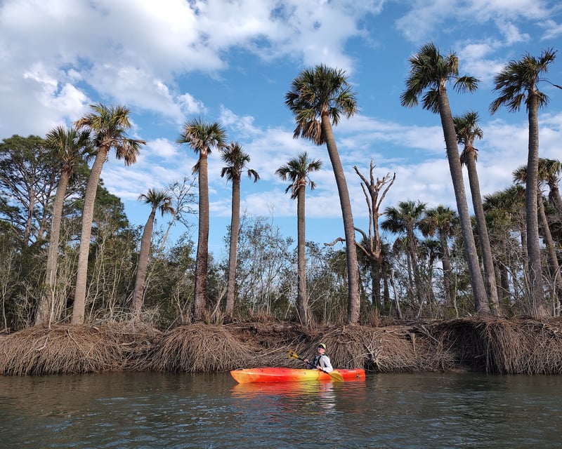 Guided Lagoon Kayak Tour to Boneyard Beach