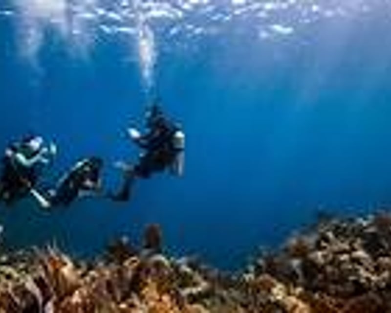 Discover Scuba Shore Dive at Blue Heron Bridge