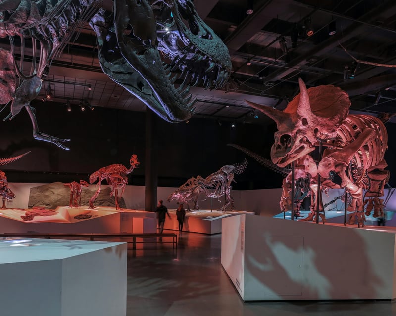 Houston Museum of Natural Science General Admission