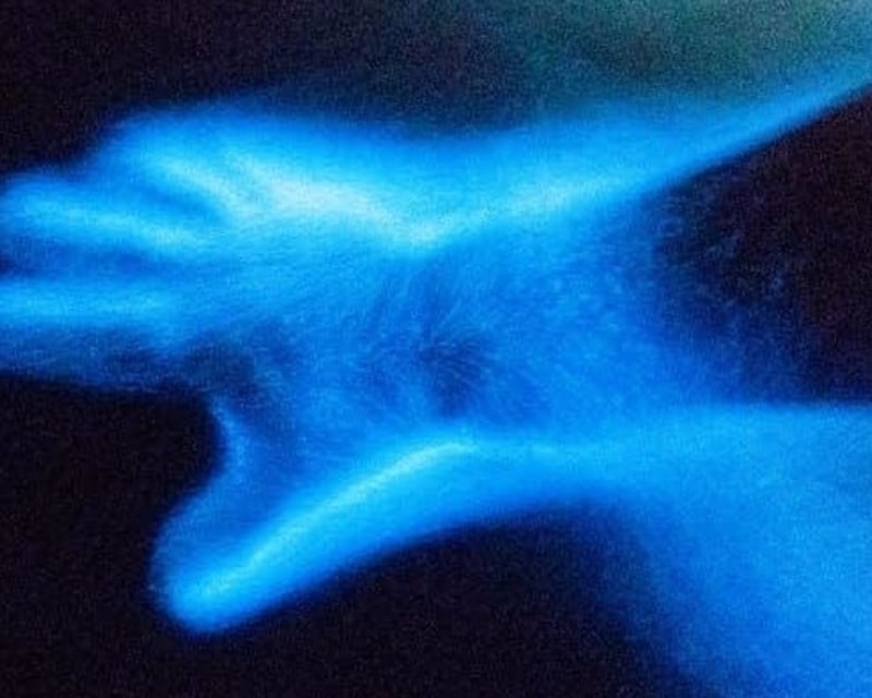 Bioluminescent Guided Kayak Tour in La Parguera