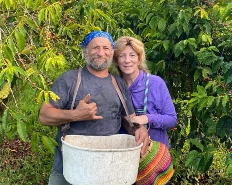 Guided ATV Farm Tour in Holualoa