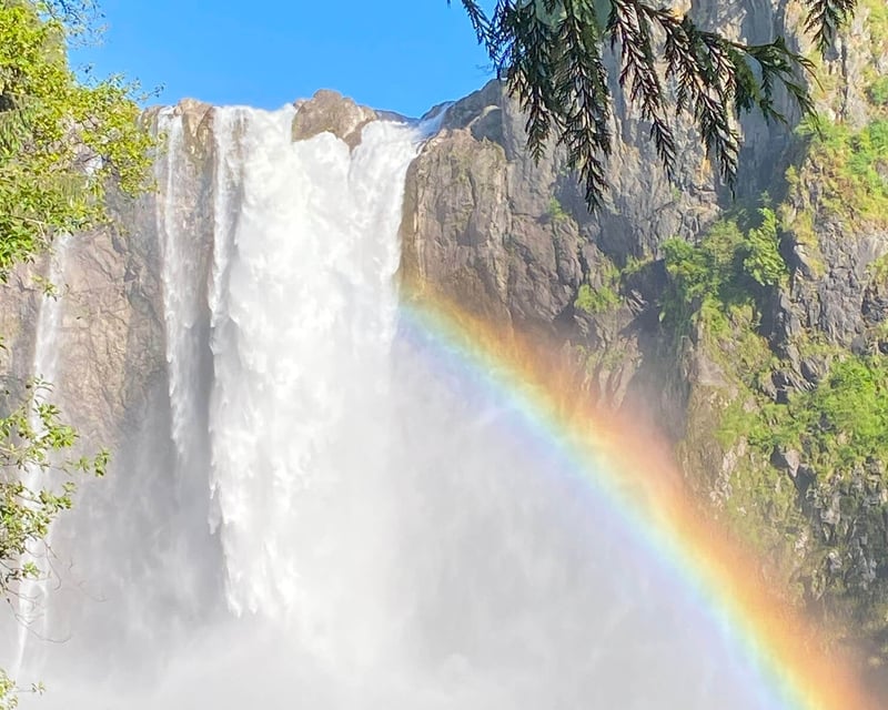 Snoqualmie Falls 4-Hour Private Nature Tour