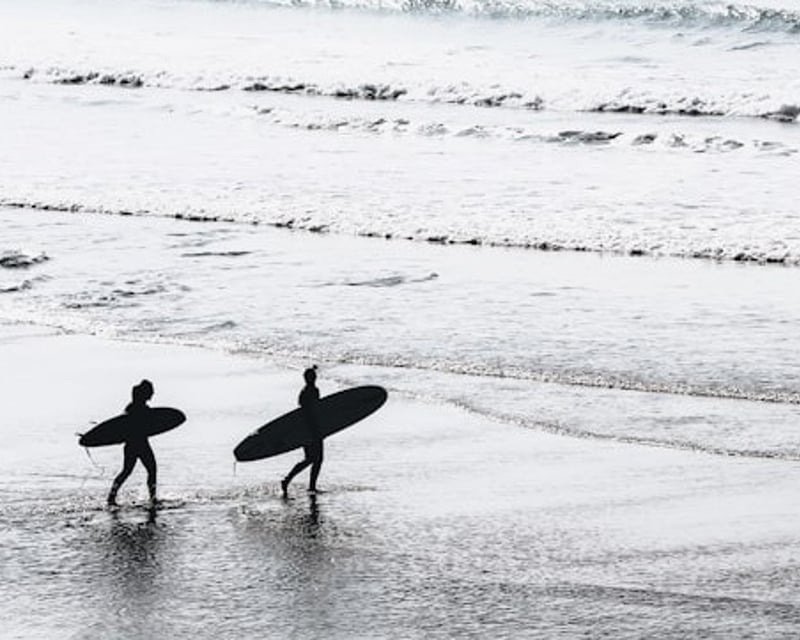 2-Hour Santa Monica Surfboard & Paddleboard Rental