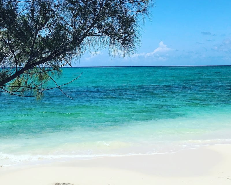 Bimini 3-7-Day Yacht Charter