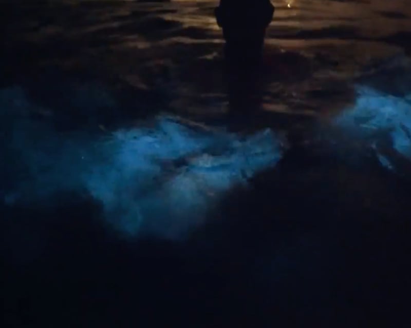 Bioluminescent Bay Swim Tour at La Parguera from San Juan