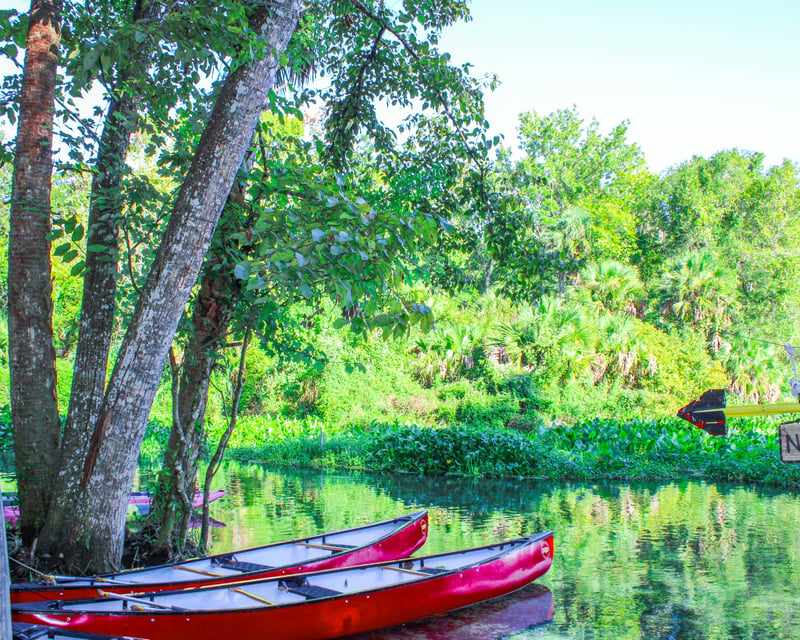 Self-Guided Canoe Rental at Wekiwa Springs State Park