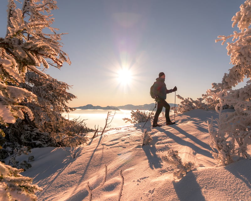 Full-Day Mt. Hood Snowshoe Tour from Portland