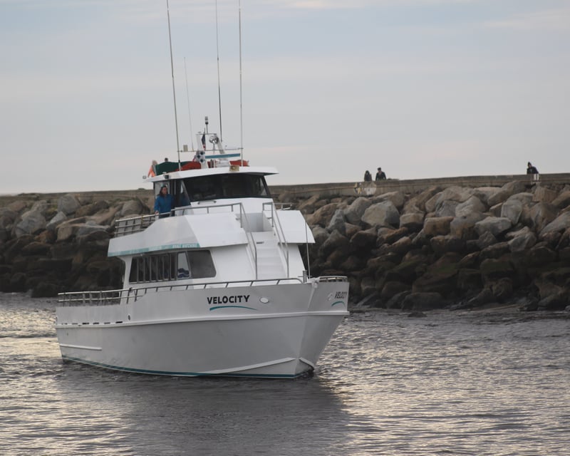 7-Hour Deep Sea Cod Fishing Trip on Monterey Bay