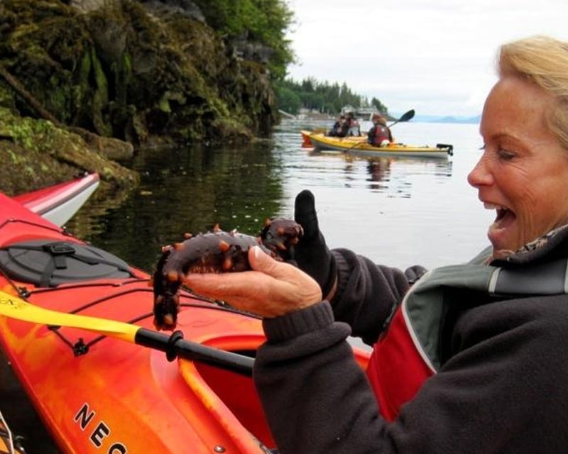 4-Hour Rainforest Shoreline Kayak Eco-Tour in Ketchikan