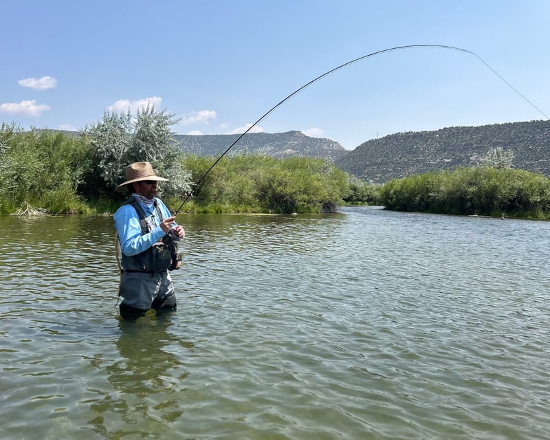 Full-Day Guided Wade Fly Fishing Trip, San Juan River