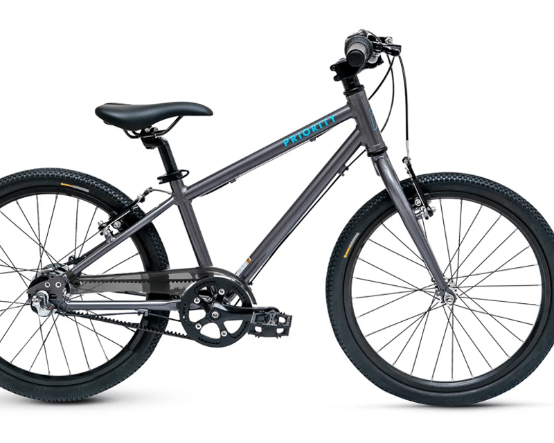 20" Kids' Bike Rental in Treasure Island