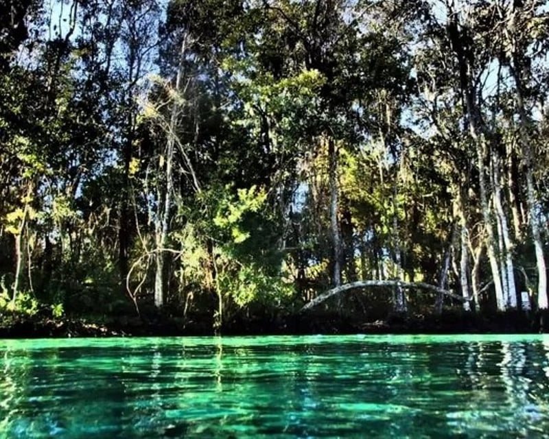 Guided Drift Dive on Rainbow River in Dunnellon