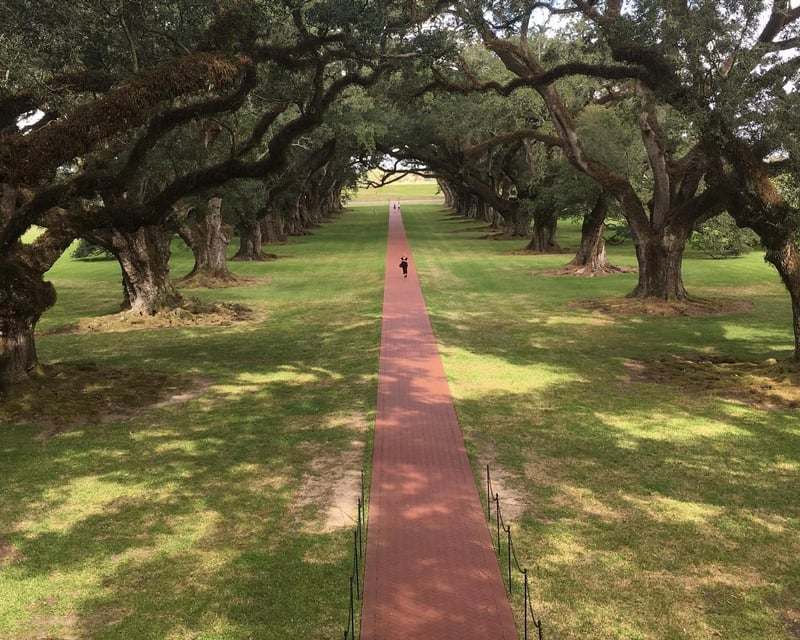 Oak Alley Plantation & Swamp Boat Tour