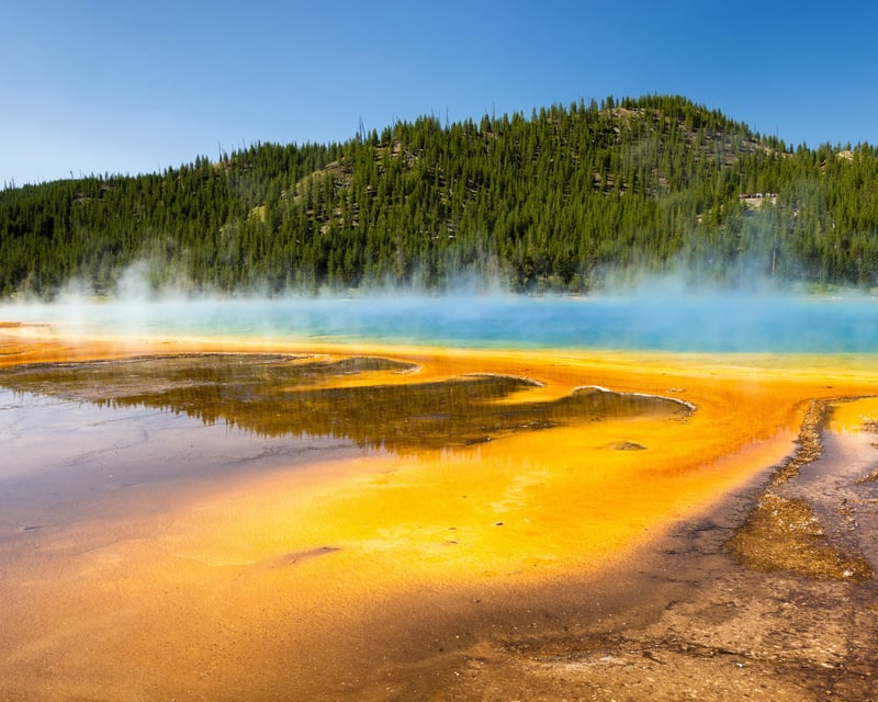 Private Yellowstone & Old Faithful Day Tour from Jackson