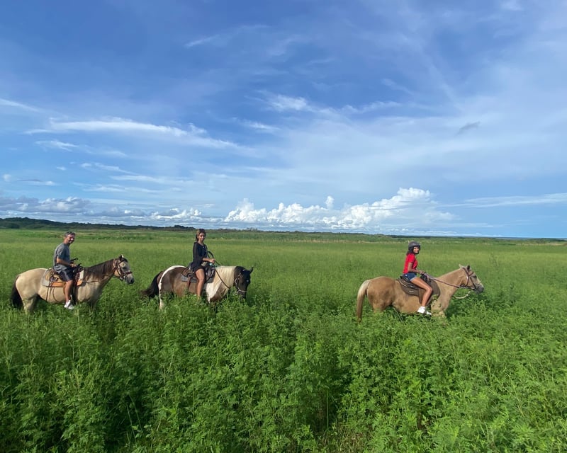 Guided Horseback Trail Ride Near Lake Jesup