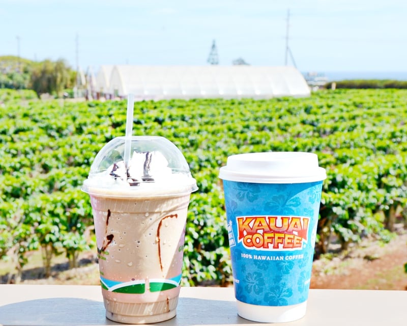 Ride an Open-Air Truck Coffee Farm Tour in Kauai