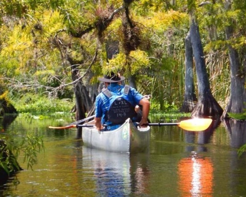 Blackwater Creek Wilderness Paddle Tour