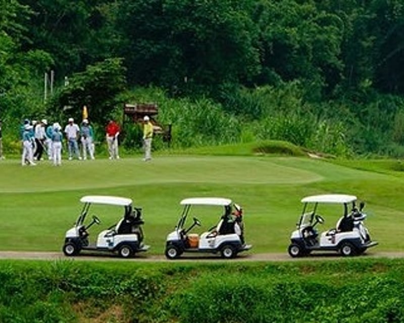 6-Passenger Golf Cart Rental with Delivery