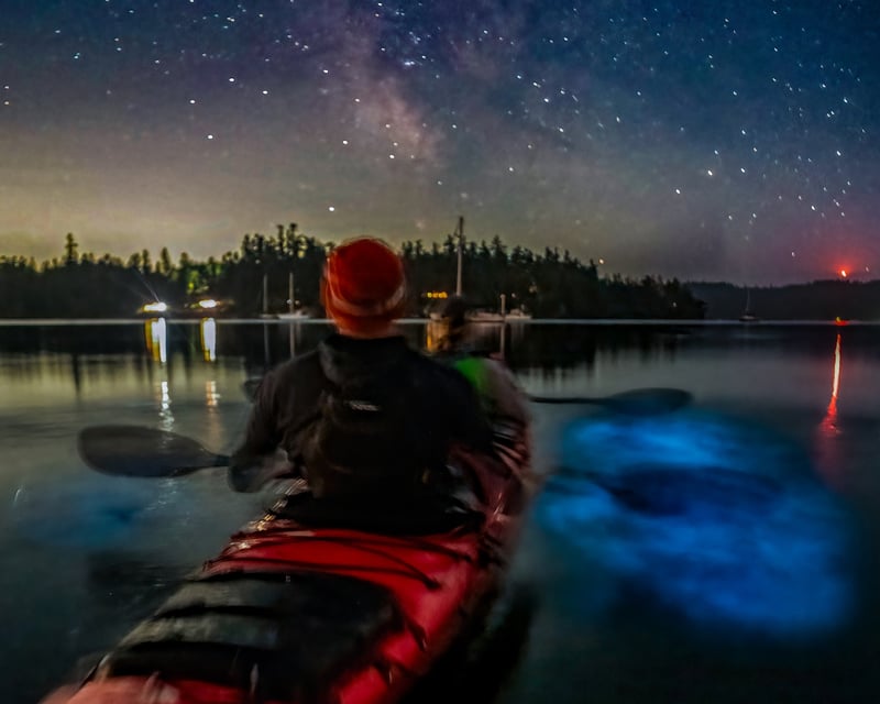 Guided Bioluminescence Night Kayak Tour in Brinnon