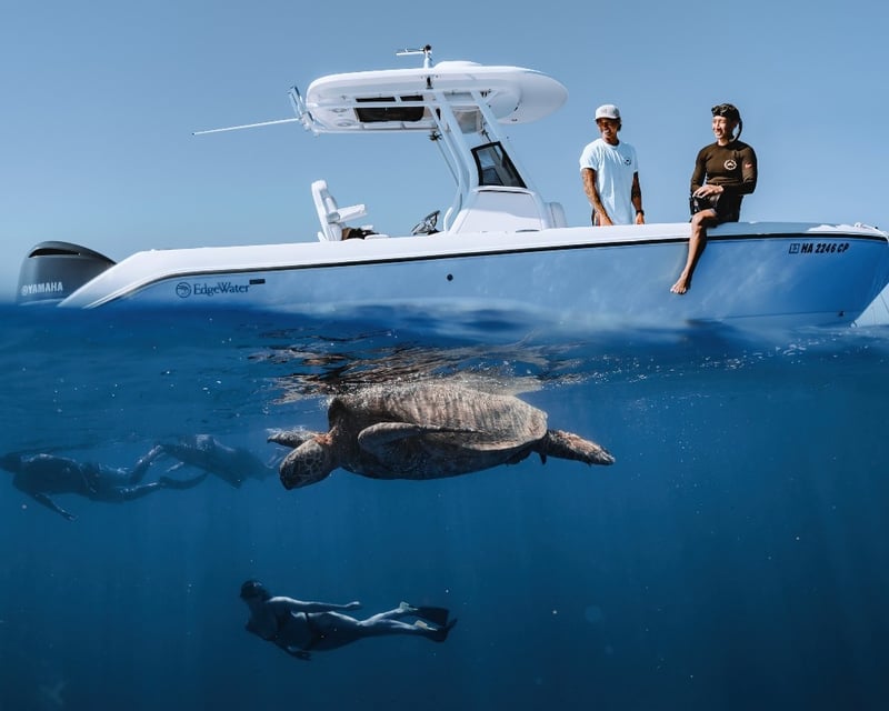 1.5-Hour Turtle Canyon Guided Snorkel Tour