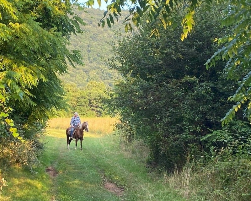 Private Guided Horseback Ride in Douthat State Park