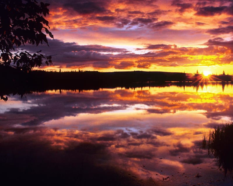 Photograph the Midnight Sun in Denali 3.5-Hour