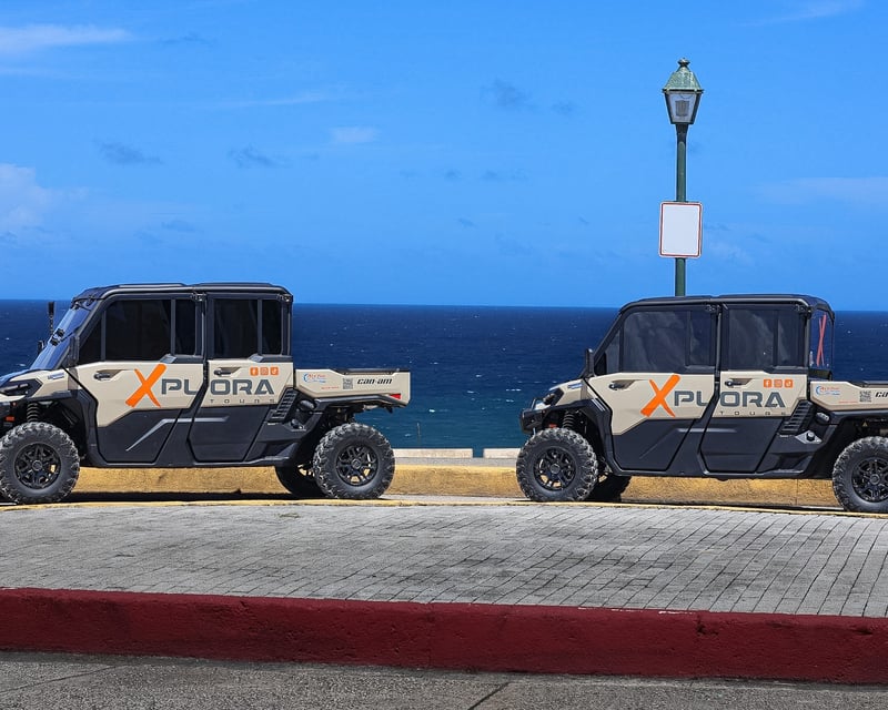 Private Loíza Mangrove & Beach UTV Tour from Isla Verde