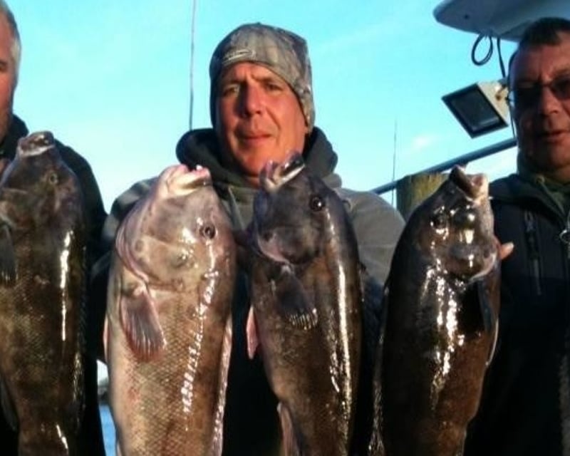Full-Day Blackfishing Trip from City Island