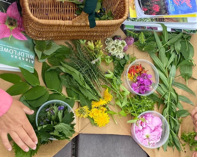 Foraging & Backcountry Cooking Class in Chugach State Park