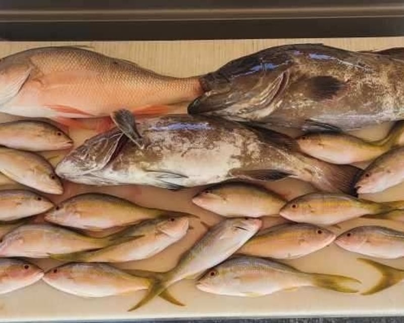 Reef Fishing Charter in Marathon