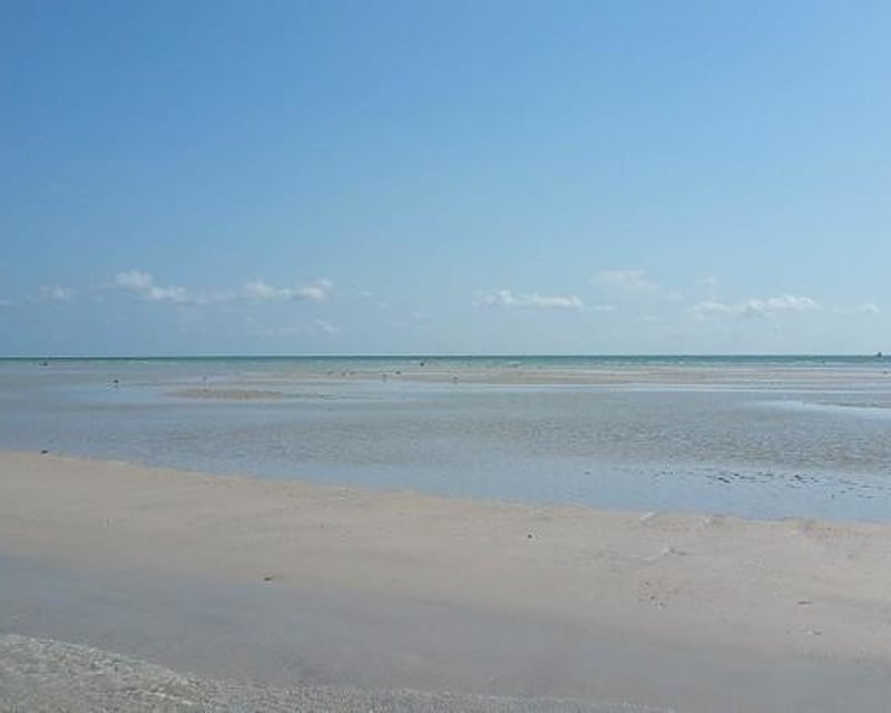 Private Egmont Key Excursion & Fort Dade Snorkeling