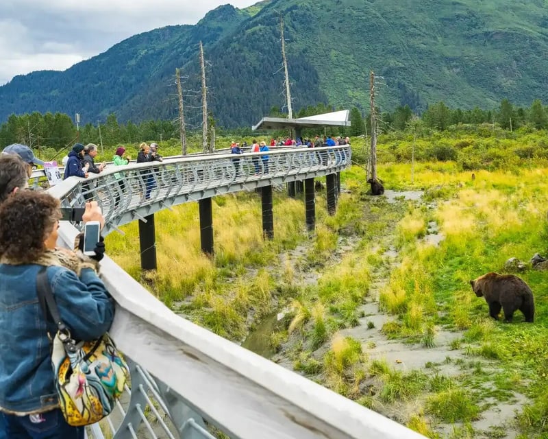Whittier to Anchorage Wildlife Tour & Transfer