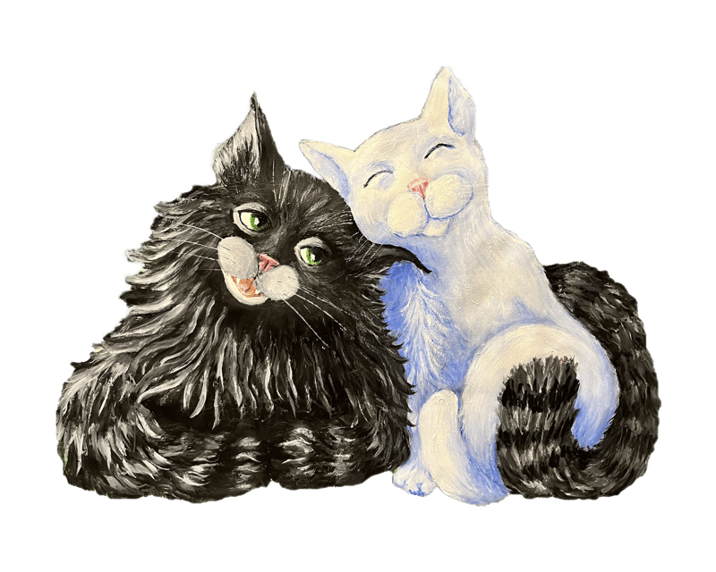 Cat Cafe Session with Adoptable Cats in Colorado Springs