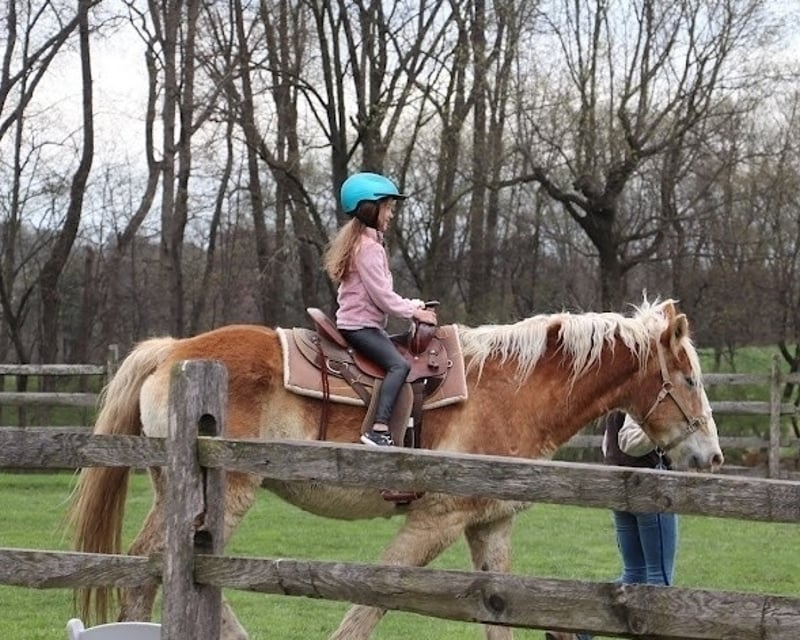 Christmas Village Pony Ride in Elizabethtown, PA