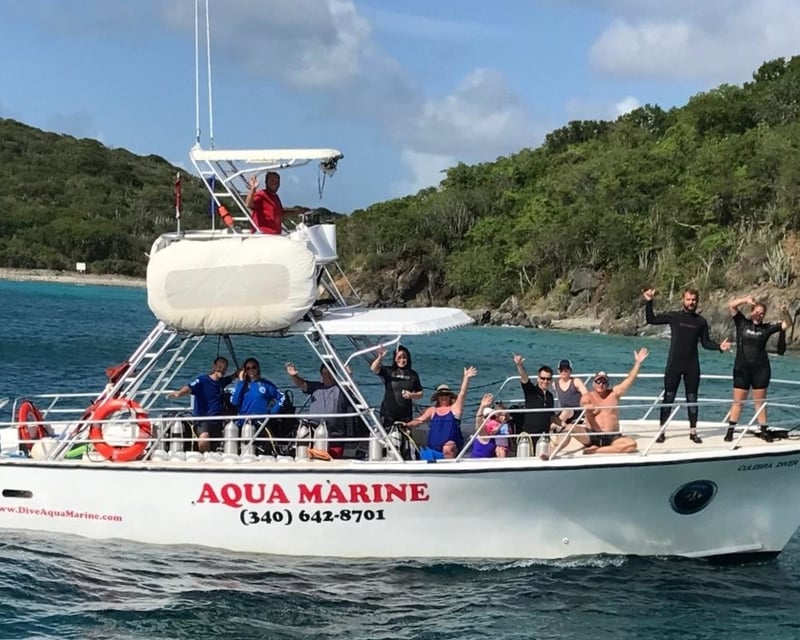 Private Snorkel & Dive Charter in St. Thomas