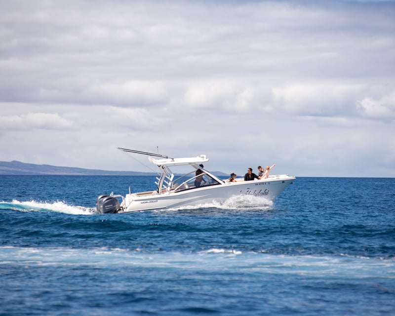 Private Kohala Coast Snorkel & Sightseeing Charter