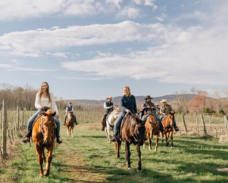 Private Vineyard Horseback Ride Near Charlottesville