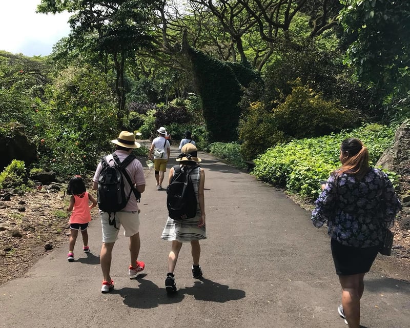 Private Full-Day Custom Hiking Tour from Honolulu