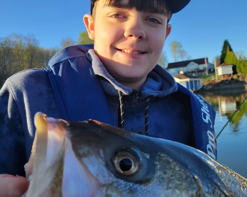 Half-Day Striper Fishing Charter on Smith Mountain Lake