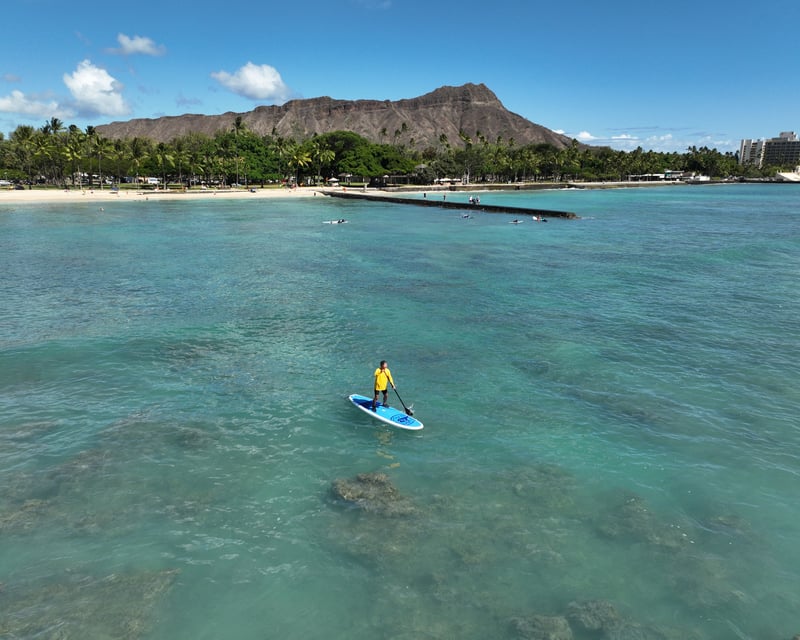 Group & Private Stand Up Paddleboard Lessons in Waikiki