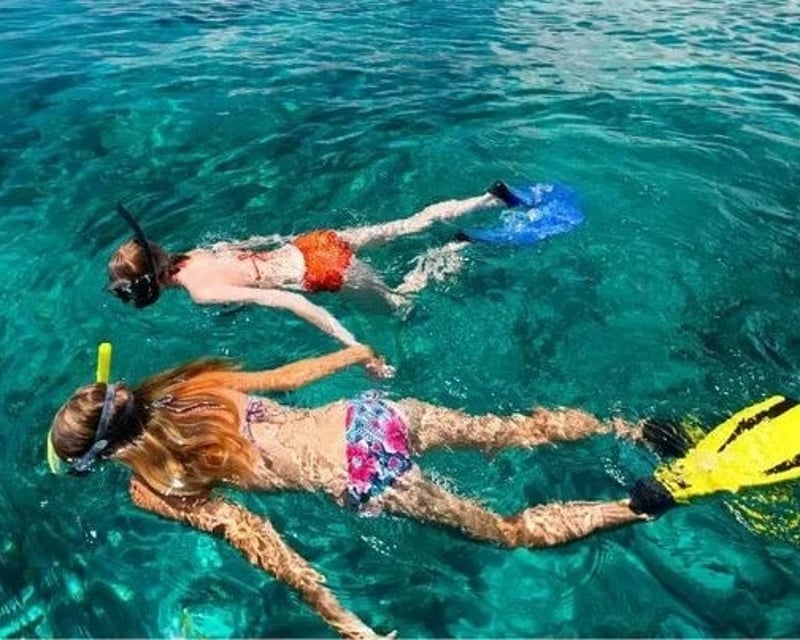 4-Hour Key West Reef Snorkel Charter