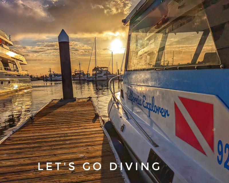 Guided 2-Tank Dive Tour in Monterey Bay
