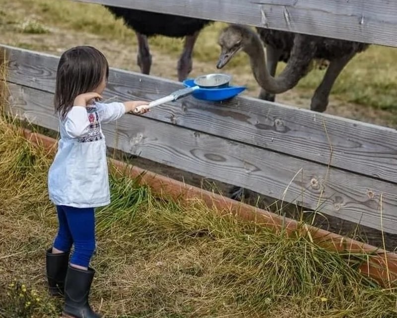 Explore a Private Guided Farm Tour