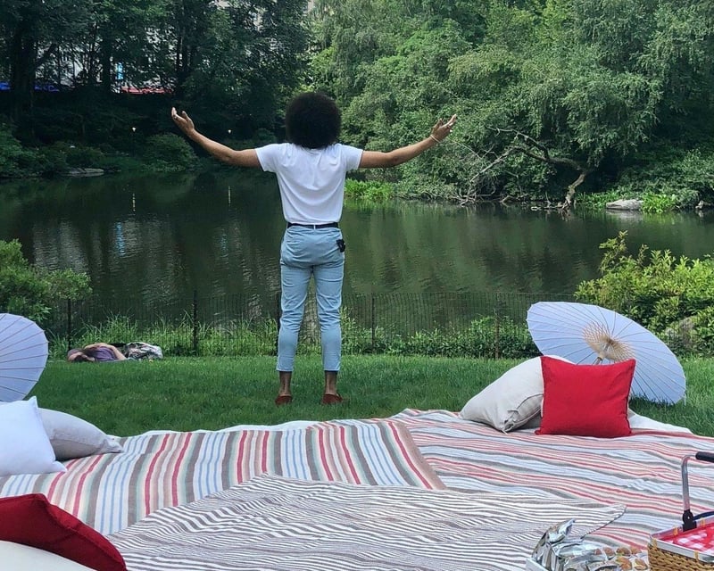 Private Picnic Setup & Cleanup in New York City