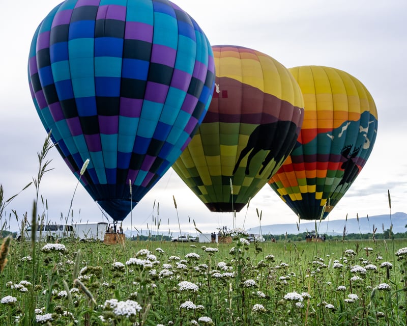 Float Over Jackson Hole on a Sunrise Balloon Ride