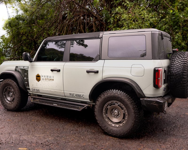 Explore the Road to Hana on a 6-Hour Private Tour