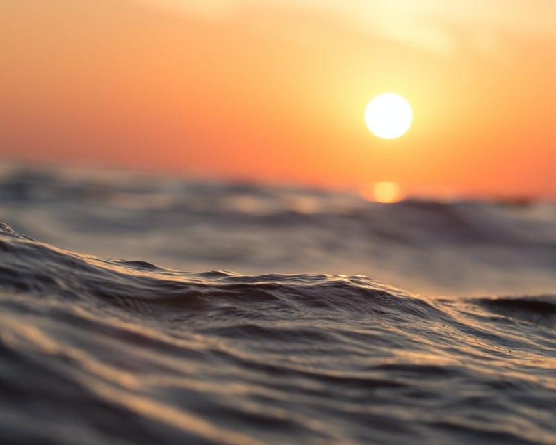 Honolulu Sunset Cruise