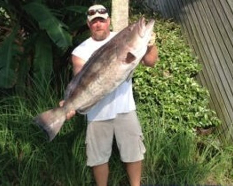 4-Hour Trolling Fishing Charter in Orange Beach