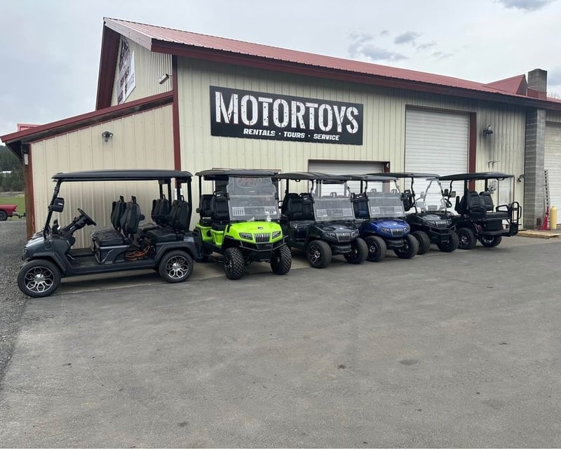 8-Hour Golf Cart Rental in Cle Elum