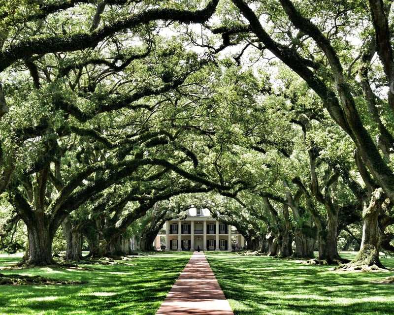 Explore 2 River Road Plantations From New Orleans
